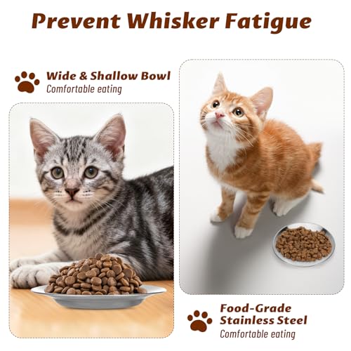 6 Stück Katzennapf Edelstahl, 6.3 Zoll Futternapf Katze Flach für Katzen, Fressnapf Katze, Anti Whisker Fatigue Katzengeschirr Set, Flacher breiter Futter- und Wassernapf für Kleine Katzen und Hunde