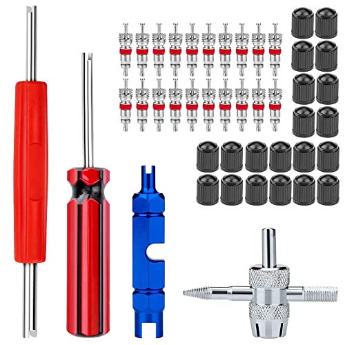 Valve Stem Removal Tool Kit, with Valve Stem Caps, Tire Valve Cores, 4-Way Valve Tool, Single, and Dual Heads Valve Core Remover Tire Repair-44PCS
