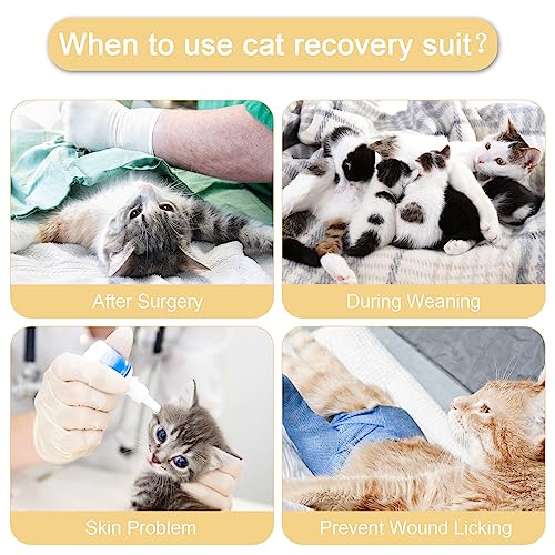 Image of Cat Surgery Recovery Suit Cats Surgical Onesie After Surgery Female Male Cat Post Spay Neuter Bodysuit Anti-Licking Wounds Cat Cone Alternative Yellow Bee /M