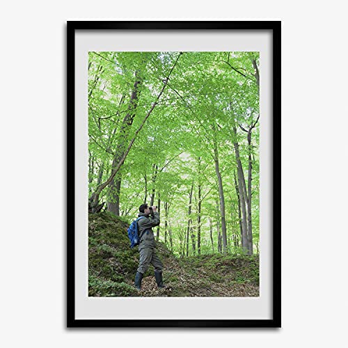 Cadre en bois moderne 50x70 cm Tulup pour encadrer une peinture ou affiche d'ornithologiste