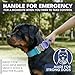 Spark Paws Taktisches Hundehalsband – Robuste, Premium-Qualität, Dick und Langlebig für Große und Mittelgroße Hunde - 90s Retro – L – 3,8 cm