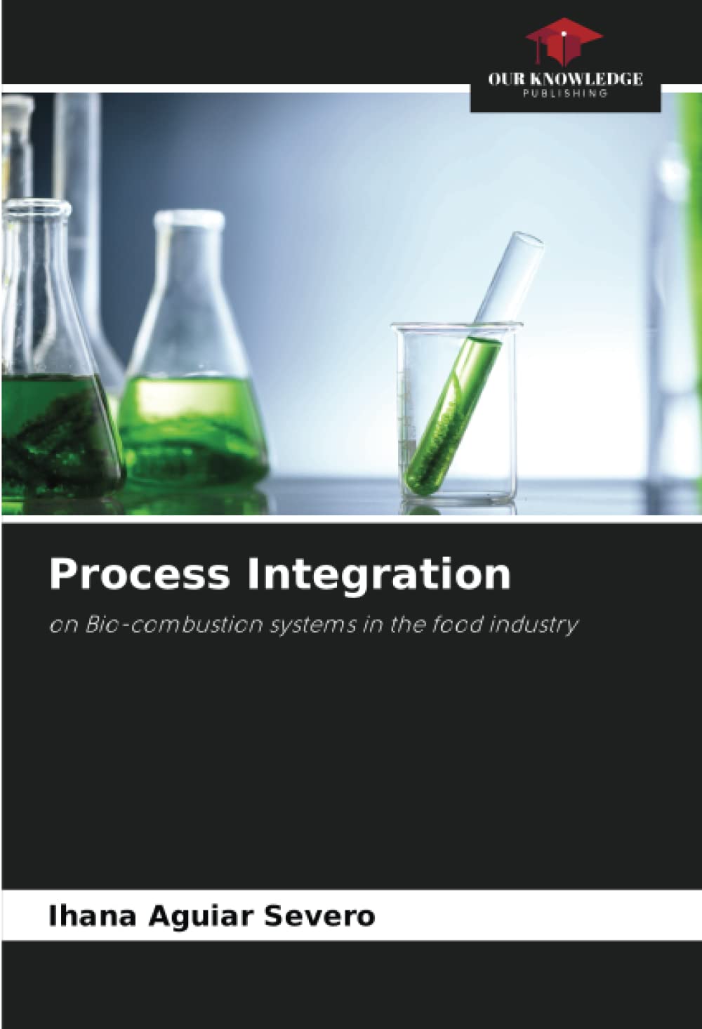 Process Integration