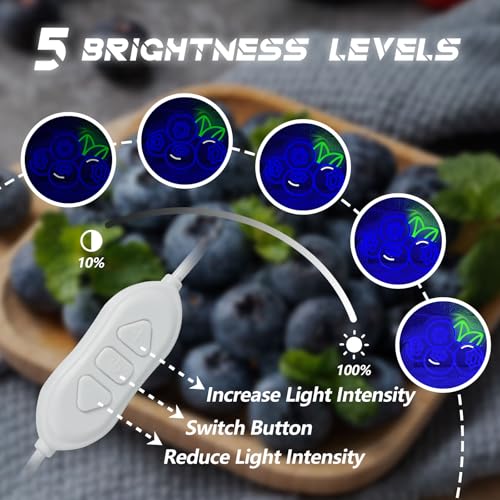 Image of Blueberry Neon Sign for Wall Decor, Dimmable Fruit Blueberry Neon Lights, Vibrant Fruit Themed Neon LED Signs for Kids Room, Bedroom, Restaurant, Bar, Club, Fruit Shop, Birthday Party