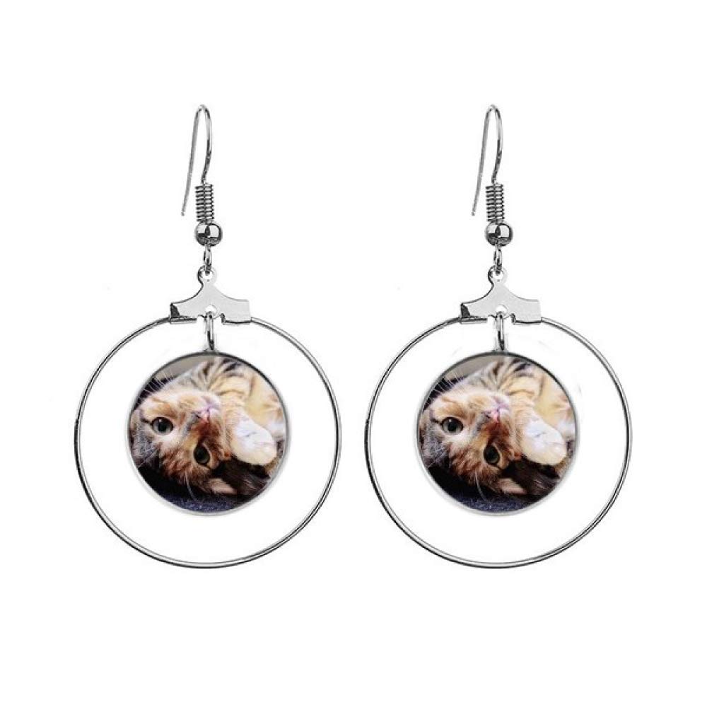 Pendientes de aro con diseño de rayas y gato en plata de ley 4