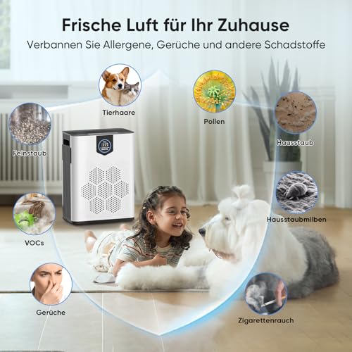 DAYETTE Purificador de aire alérgico, HEPA 14 filtros lavables - imagen 9