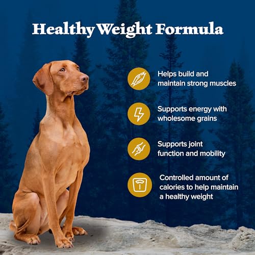 Image of Blue Buffalo Wilderness with Chicken High Protein with Wholesome Grains Healthy Weight Dry Dog Food for Adult Dogs, 30% Protein, Supports Immunity with Antioxidant-Rich LifeSource Bits, 24 lbs.