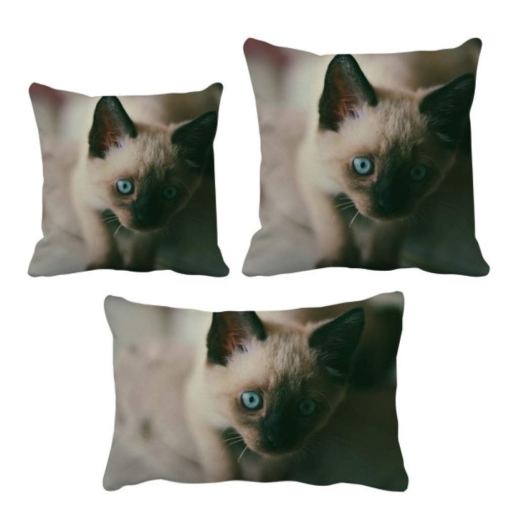 Housse de coussin chaton motif chat gris décoration salon canapé