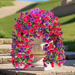 Rose Red,dark Purple