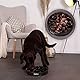 lionto Anti Schling Napf für Hunde & Katzen, Ø 30 cm, Höhe 7 cm, Fassungsvermögen von bis zu 1500 g, Rutschfester Hundenapf aus lebensmittelechtem Kunststoff, bis zu 100° spülmaschinenfest, schwarz