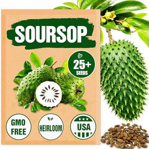 Premium Soursop (Graviola) Seeds 25+ Non-GMO Heirloom - Fast-Growing High-Yield Tropical Fruit Trees