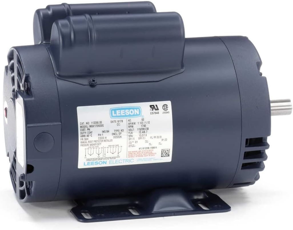 Leeson Electric Motor #113266, side view with specifications label