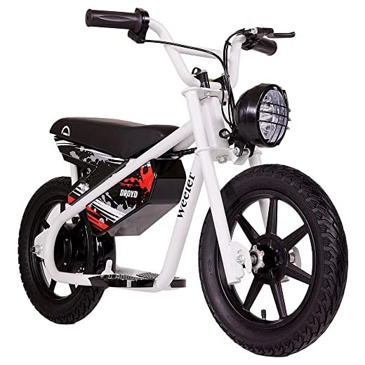 Droyd Weeler Electric Mini Bike - Electric Bike for Kids Ages 6 & Up - 200W Electric Dirt Bike w 6.2-10MPH up to 8 Miles - Dirt Bike for Kids up to 45 Mins Run Time w 14in Tire, 24V 8Ah Battery