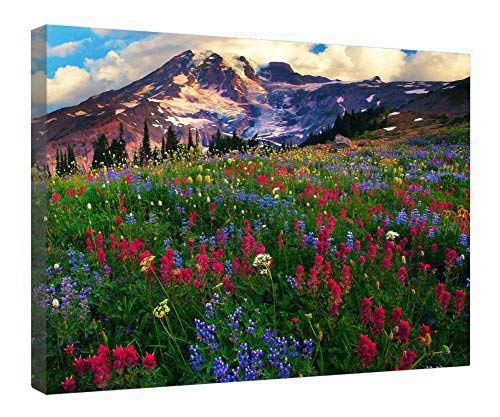 Impression sur toile cadeau idéal Mont Rainier encadrée bois