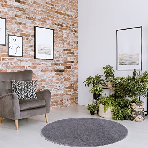 Pasha Home Tapis 80 cm Rond Anthracite / Tapis Moelleux en Polyester / Tapis Moelleux pour Le Salon, la Chambre à Coucher, la Chambre d'enfant / Tapis Moelleux avec 20mm de Velours Cover