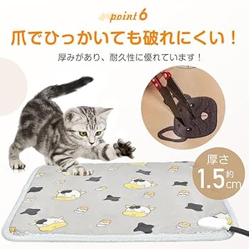 【0ユーロ札】ピーターラビット 2枚セット 専用カバー付 2023 0ユーロ札】ピーターラビット 2枚セット 専用カバー付 2023