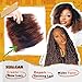 Afro Kinky-Curly Human Hair Bulk for Twist, Dreadlocks Making, Repairing and Extending Locs,100% Afro Kinkys Bulk Human Hair Ombre color, 50g/pack Can be Dyed (#30/1B/#30) (12inch)