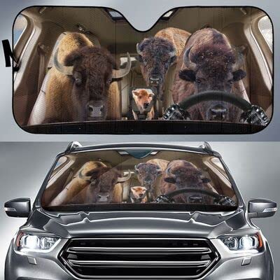 Pare-soleil voiture pliable bison L pour protection pare-brise