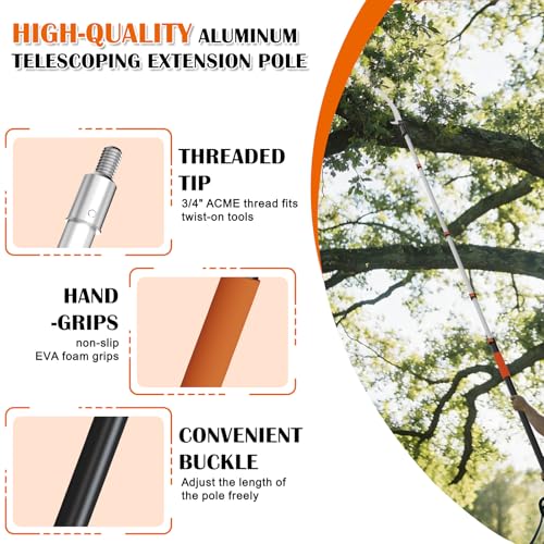 Image of Buyplus 26FT Reach Pole Saws for Tree Trimming, Pole Saw with 5-20FT Telescoping Extension Pole, Pruning Saw with 24 inch 3X Detachable Saw, Non-Slip Handle, Tree Trimmer for Garden Yard Palms Shrubs