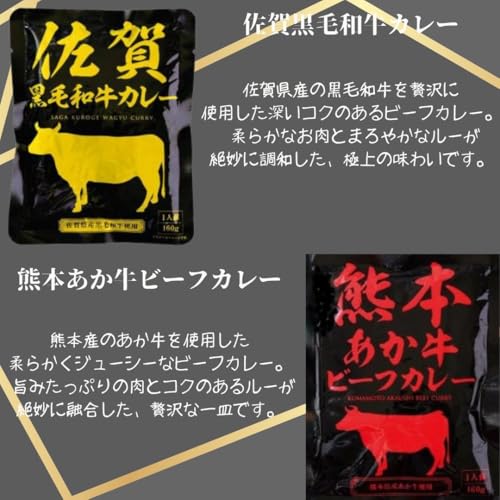 Sunnyrex レトルトご当地和牛カレー10種セット