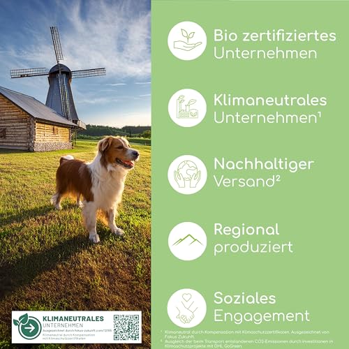 Sorgenfrei Bachblüten für Hunde & Katzen - 1.200 Globuli bei Einsamkeit und Unruhe - 100% natürliche Beruhigungstabletten für Hunde - Anti-Trauer Blütenmischung nach Dr. Bach