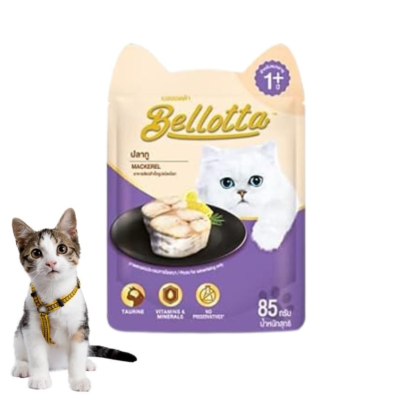 PetaPuppies Bellotta Premium Wet Food for Cats and Kittens in Gravy, (Mackerel), 85 g(Pack of 48) (B0CJ5JLTLQ) Amazon Price History, Amazon Price Tracker