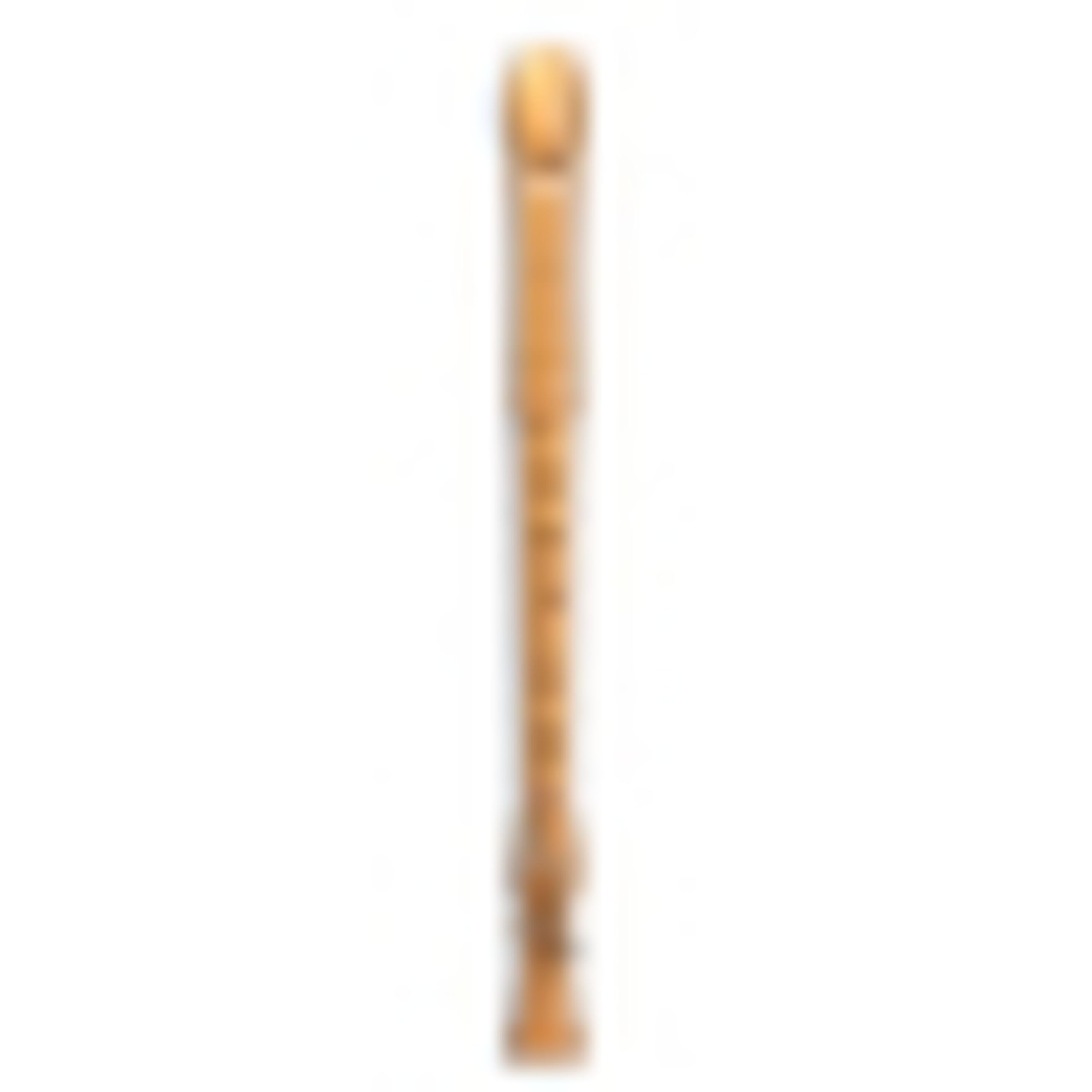 Mollenhauer 2446 CANTA Tenor Birnbaum hell barock
