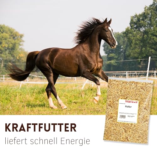Supravit Hafer ganz 5kg | Frischer gelber Futterhafer natürlich & ungeschält für Pferd und Pony | staubfrei & riecht gut I Hafer Energie & Kraftfutter Pferd