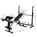 Tomasar Olympic Weight Bench with Preacher Curl, Leg Developer, Multi-Functional Weight Bench Set for Indoor Exercise (Black)
