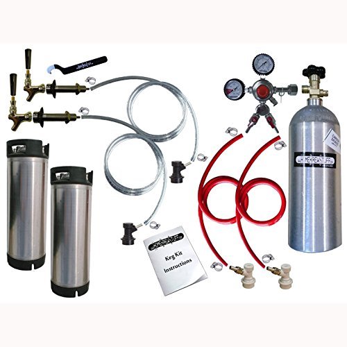 Two Tap Door Mount Homebrew Ball Lock Kegerator (No Drip Tray) Assembled