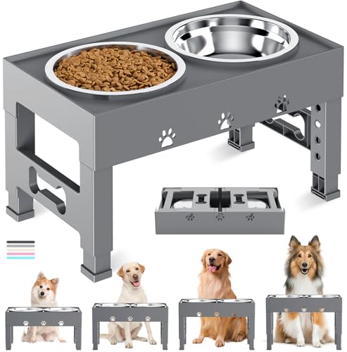 Elevated Dog Bowls