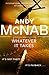 Whatever It Takes: The thrilling new novel from bestseller Andy McNab