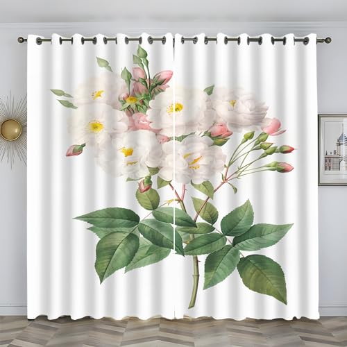 J[e ,  Ռ J[e 150cm 178cm 2g kx? fMh  Ԏd؂ JtF Q rO op