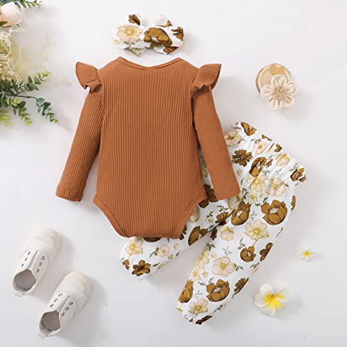 Image of DISAUR Baby Girls Clothes Newborn Infant Baby Girls Outfit Long Sleeve Ruffle Romper Floral Pants Headband Sets 0-18 Months
