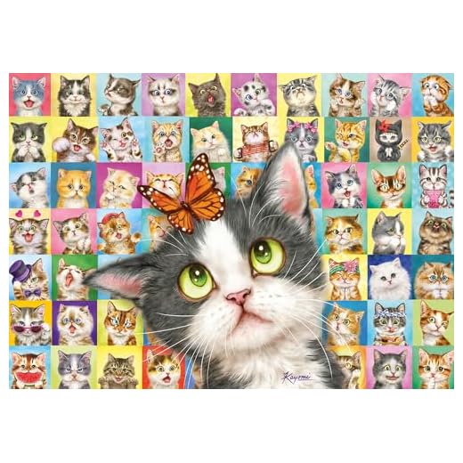 Schmidt Spiele 59759 Puzzle de 1000 Piezas con Expresiones faciales de Gatos