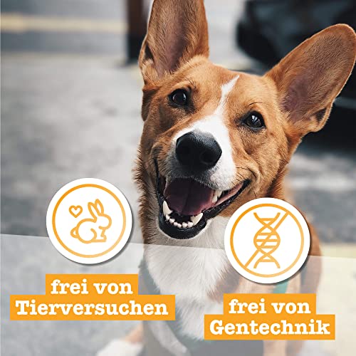 Chewies Lucky Bits Rind & Huhn Junior Hundeleckerli für Welpen - Hundeleckerlis getreidefrei & Soft mit viel Protein und Superfoods wie Bierhefe oder Ginkgo, ohne Zucker (80 g)