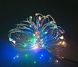 9 Flashing Modes,BOLWEO Battery Operated Fairy Christmas String Lights with Remote Timer, 5M/16.4Ft 66LEDs Dimmable Fairy Lights for Indoor Outdoor Home Christmas Tree Wreath Decoration,Multi-Colored