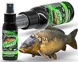 Angel-Berger Magic Baits Bait Spray Karpfen Power Lockstoffspray Carp Köderspray Flüssiglockstoff Attractor (Karpfen)