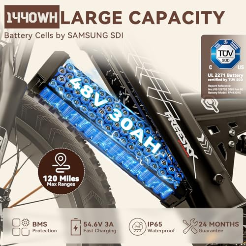 Electric Folding Mountain Bike