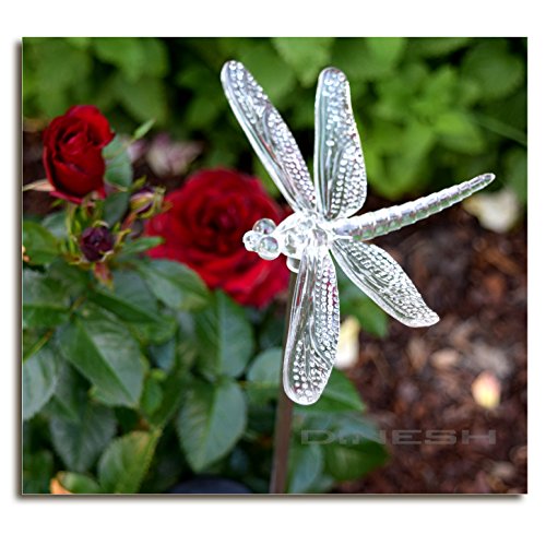 Di-Nesh 719 - Lampade a energia solare, LED