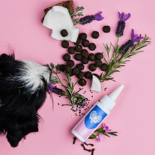 TIERLIEBHABER Sparpaket – Zeckenschutz Hund Spot On & Z-Snack für Hunde – Z-Bundle enthält Zeckenmittel für Hunde Z-Spot mit Kokosöl und Schwarzkümmelöl | 100% Pflanzlich