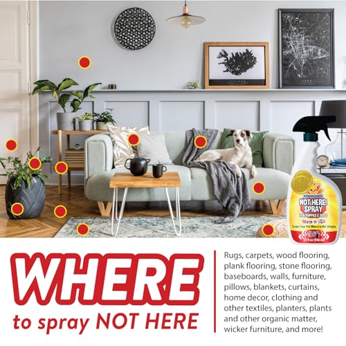 image for Bodhi Dog Not Here! Spray | Trains Your Pet Where Not to Urinate | Tra