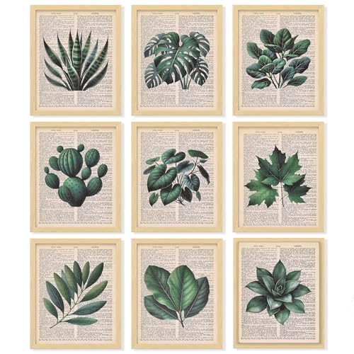 97 Decor Vintage Botanical Wall Art - Plant Posters For Room Aesthetic, Green Plant Pictures Wall Decor, Nature Prints Tropical Leaves Artwork For Home Bedroom Office Decorations (8x10 Unframed)
