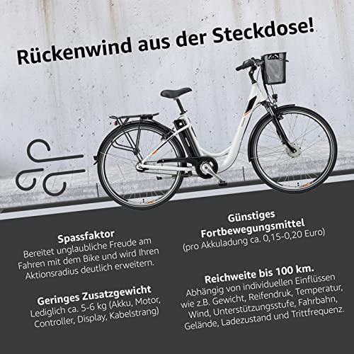 TELEFUNKEN E-Bike Damen 28 Zoll Elektrofahrrad - 7-Gang Nabenschaltung mit Rücktritt, Pedelec Citybike Alu mit Fahrradkorb, Frontmotor 250W /10,4Ah / 36V Sitzrohrakku, RC840 Multitalent
