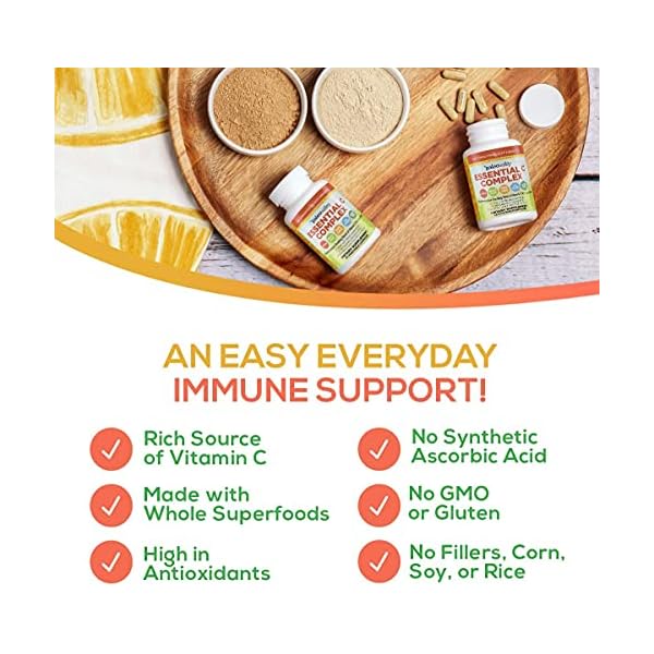 Paleovalley-Essential-C-Complex-Vitamin-C-Food-Supplement-with-Organic-Superfoods-for-Immune-Support-6-Pack-450-mg-per-Serving-No-Synthetic-Ascorbic-Acid-No-GMO-Fillers-or-Gluten Paleovalley Essential C Complex - Vitamin C Supplement for Immune Support - 6 Pack, 450mg - From Organic Superfoods Unripe Acerola Cherry, Camu Camu, Amla Berry - No Synthetic Ascorbic Acid - USA Made
