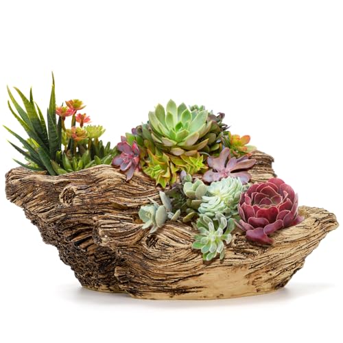 Noamus Artificial Driftwood Planter, Sculpture Resin Succulent Flower Pot, Imitation Wood Pile Porous Bonsai Tree Plant Pot, Decorative Rustic Stump Cactus Container for Garden Indoor