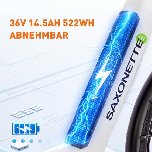 SAXONETTE E-bike voor dames, 28 inch, e-bike met middenmotor, 500 watt, 90 NM, elektrische fiets voor volwassenen met 36 V 14,5 Ah accu, 120 km lang bereik, 10 versnellingen, pedelec elektrische fiets - Afbeelding 5