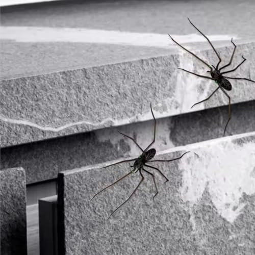 2 Imán Araña 3D Realista para Refrigerador miniatura 3