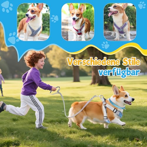 3 Stück Hundegeschirr und Leine Set, Verstellbares Brustgeschirr, Reflektierendes atmungsaktives Hundegeschirr mit D-Ring, Hundegeschirrs Set für Welpen, Kleine Hunde