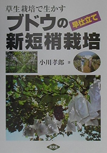 ブドウの早仕立て新短梢栽培: 草生栽培で生かす | 小川 孝郎 |本
