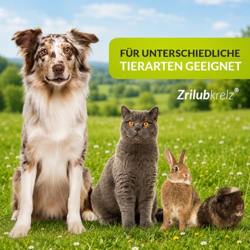 Zrilubkrelz® Zeckenhaken Zeckenzange - 3er Set - Für Hunde, Katzen etc.